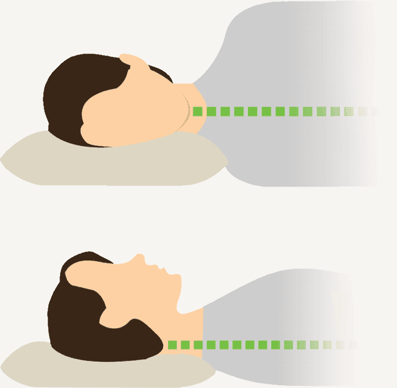 Diagram of buckwheat pillow support for side sleepers and back sleepers