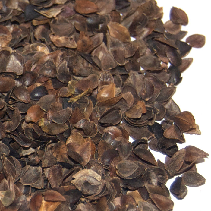 organic buckwheat hulls - sample #1