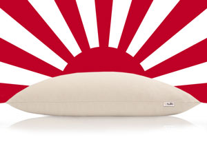 sobakawa pillow