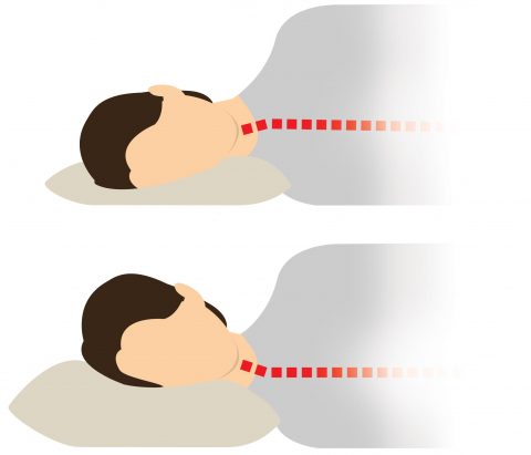 diagram illustrating pillows with too little and too much loft. Too thick: spine/neck bent downward. Too thick: spine bent upwards.
