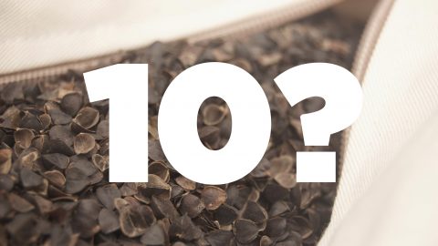 image of buckwheat pillow with "10?" text overlaid