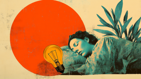 The History of Sleep